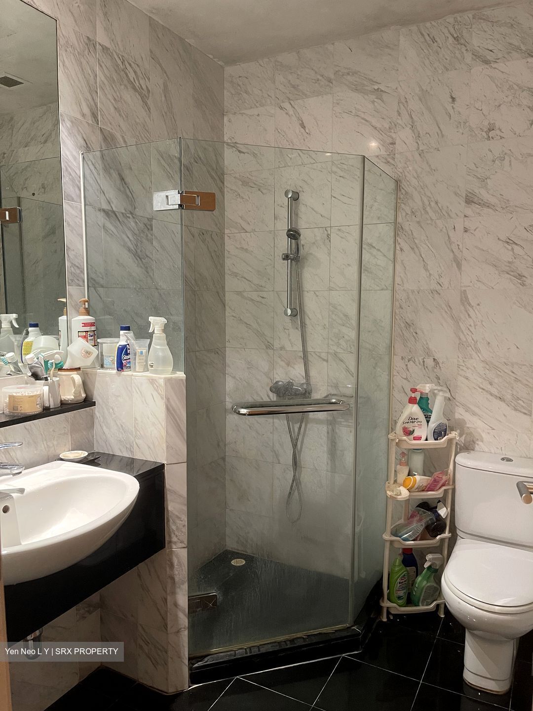 The Equatorial (D10), Condominium #346680501
